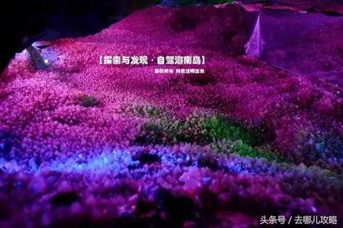 亚洲天堂福利,揭秘梦幻生活背后的真实面貌